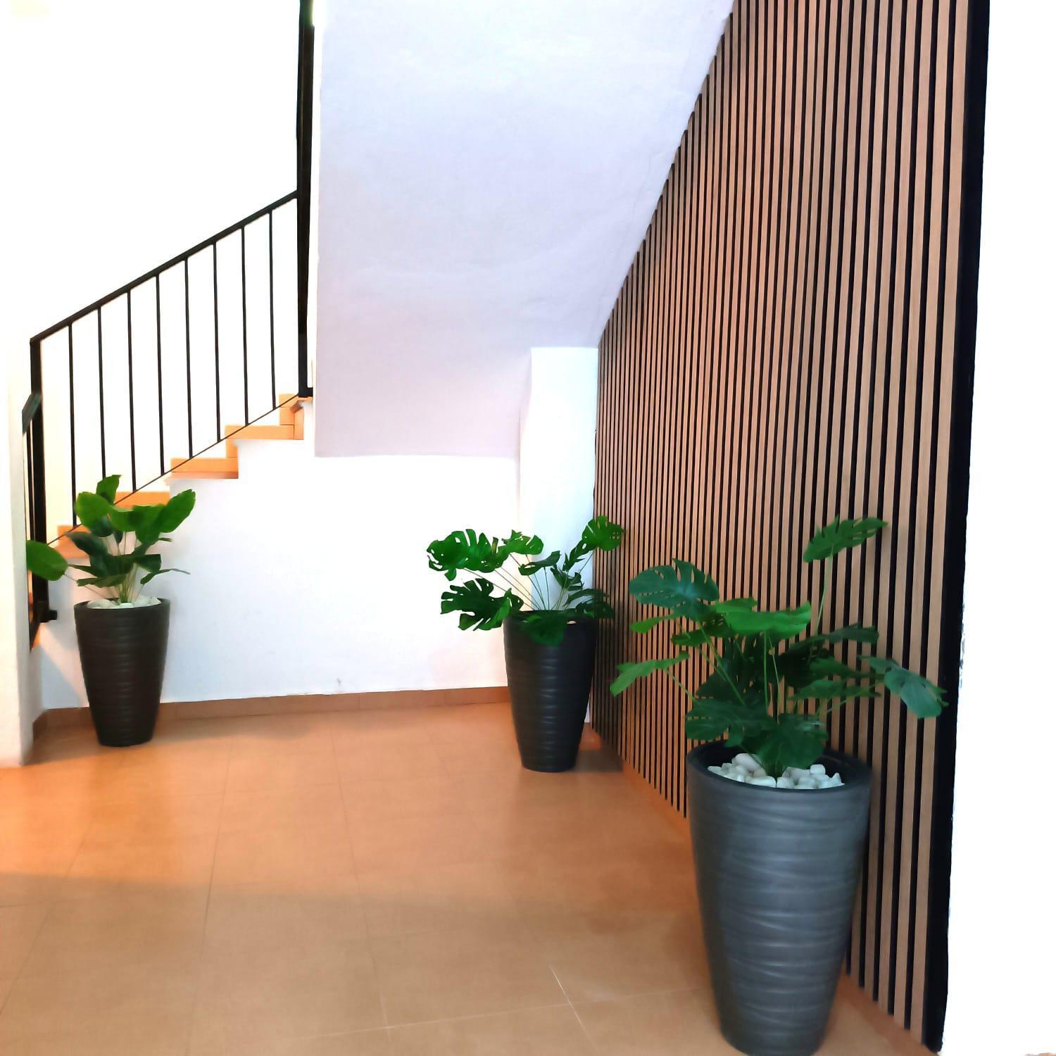 Apartamentos Calle Nueva Малага Экстерьер фото