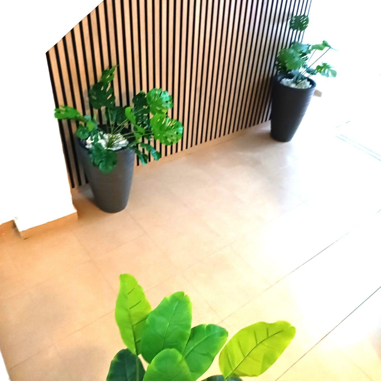 Apartamentos Calle Nueva Малага Экстерьер фото